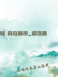 特種兵在都市