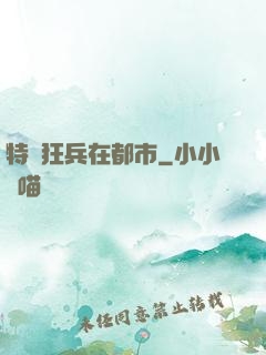 特種狂兵在都市
