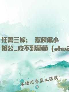 狂妻三嫁：誤惹腹黑小相公
