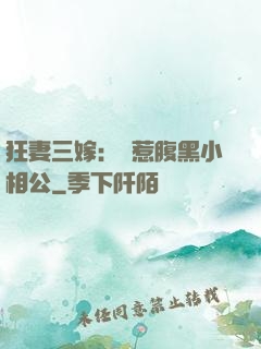 狂妻三嫁：誤惹腹黑小相公