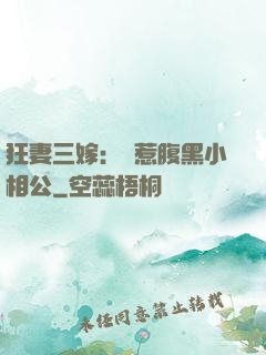 狂妻三嫁：誤惹腹黑小相公