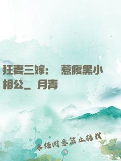 狂妻三嫁：誤惹腹黑小相公