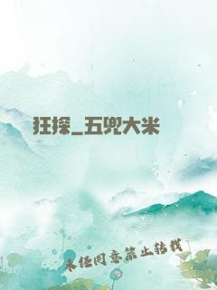 狂探