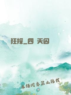 狂探