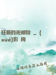 狂暴的光明牧師