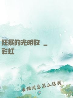 狂暴的光明牧師
