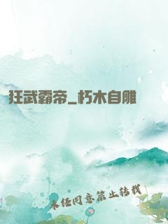 狂武霸帝