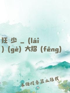 狂獅少帥