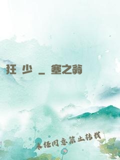 狂獅少帥