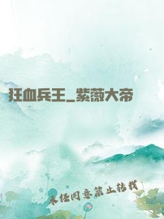 狂血兵王