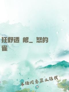 狂野透視眼