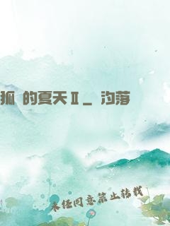 狐貍的夏天Ⅱ