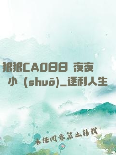 狠狠CAO日日穞夜夜穞小說(shuō)