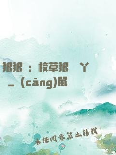 狠狠愛：校草狠寵壞丫頭