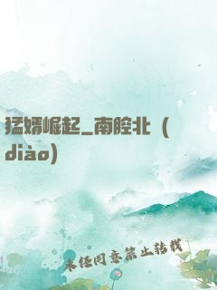猛婿崛起
