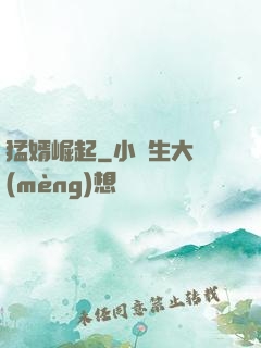 猛婿崛起