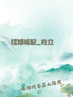 猛婿崛起