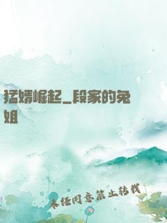 猛婿崛起