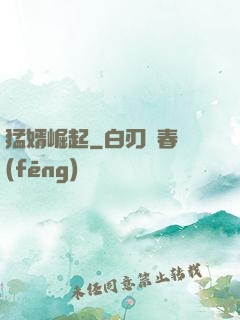 猛婿崛起