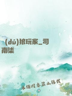 獨(dú)狼玩家