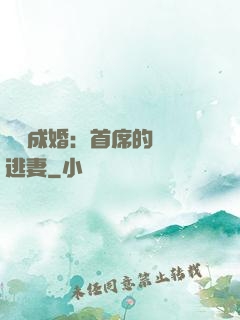 獵愛成婚：首席的億萬逃妻