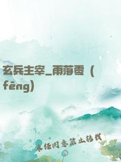 玄兵主宰