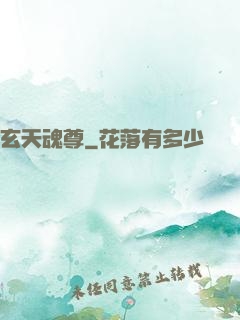 玄天魂尊