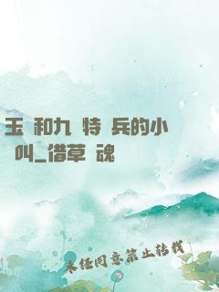 玉兒和九個特種兵的小說叫