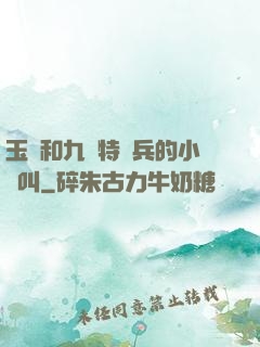 玉兒和九個特種兵的小說叫