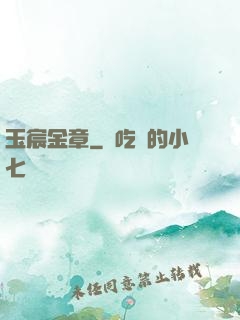 玉宸金章