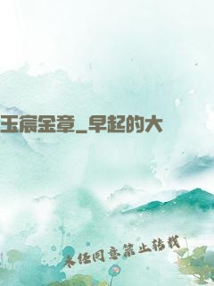 玉宸金章