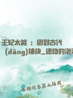 王妃太能鬧：回到古代當(dāng)捕快