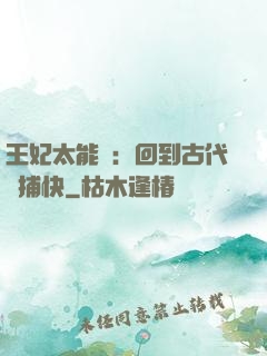 王妃太能鬧：回到古代當捕快