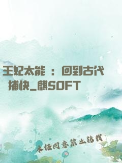 王妃太能鬧：回到古代當捕快