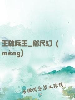 王牌兵王
