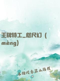 王牌特工