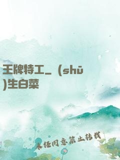 王牌特工