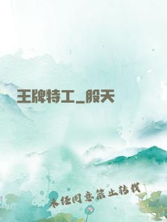 王牌特工
