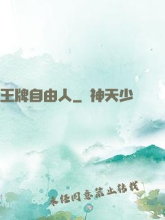王牌自由人