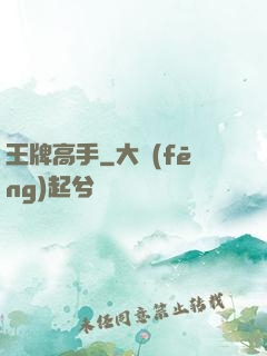 王牌高手