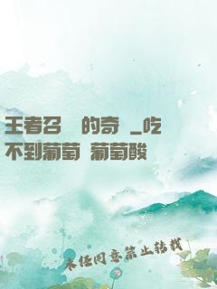 王者召喚師的奇跡