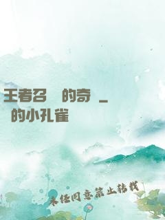 王者召喚師的奇跡