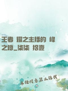 王者榮耀之主播的巔峰之路