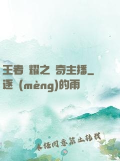 王者榮耀之傳奇主播