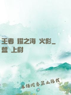 王者榮耀之海賊火影
