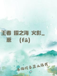 王者榮耀之海賊火影