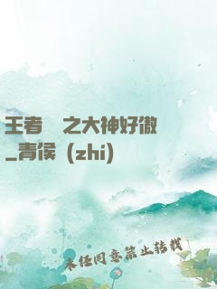 王者歸來之大神好傲嬌