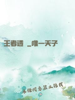 王者透視