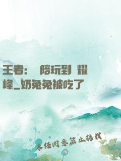 王者：從陪玩到榮耀巔峰