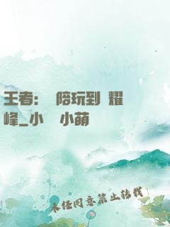 王者：從陪玩到榮耀巔峰